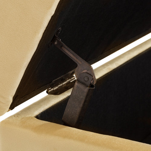 Etta Avenue™ Noa 46.5" Wide Velvet Flip Top Storage Bench & Reviews